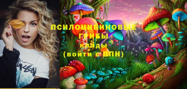 ГАЛЛЮЦИНОГЕННЫЕ ГРИБЫ Верхнеуральск